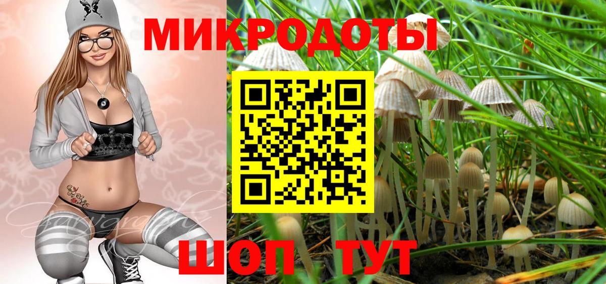 Псилоцибиновые грибы GOLDEN TEACHER Усть-Илимск